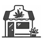 Cannabis